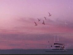 Ruger – ‘Toma Toma’ Ft Tiwa Savage Ruger - 'Toma Toma' Ft Tiwa Savage