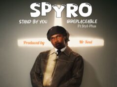 Spyro – Irreplaceable Ft Styl-Plus