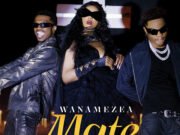 Lulu Diva – Wanamezea Mate Ft Mabantu Lulu Diva - Wanamezea Mate Ft Mabantu