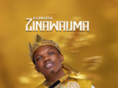 Echo 254 – Zinawauma Echo 254 - Zinawauma