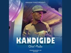 Chief Medie – Kandigide Chief Medie - Kandigide