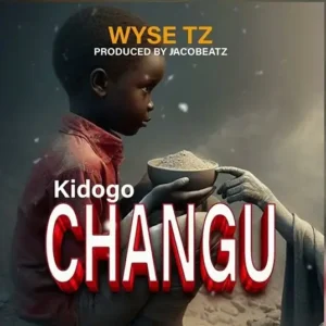 Wyse TZ - Kidogo Changu