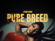 Vivian Mimi – Pure Breed Vivian Mimi - Pure Breed