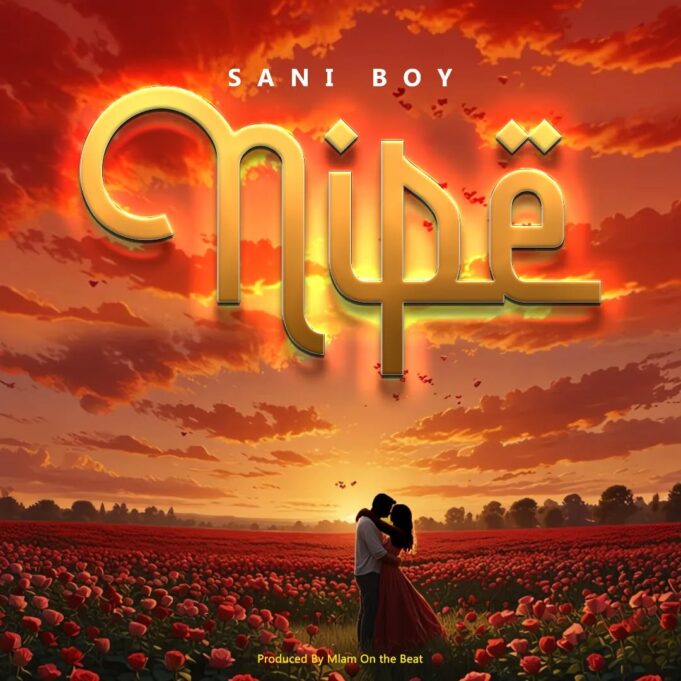 Sani Boy - Nipe