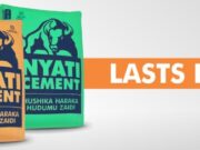 New Vacancies At Lake Cement Limited, January 2025