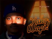 Platform – Yako Wapi