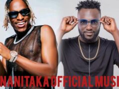 NAIBOI Ft IYANII – ANANITAKA