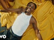 Fireboy DML Ft Seun Kuti – ecstasy