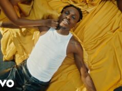 Fireboy DML Ft Seun Kuti – ecstasy