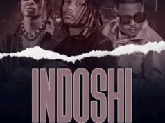 3P 4na5 Ft T-Sean & Flex Zm – Indoshi
