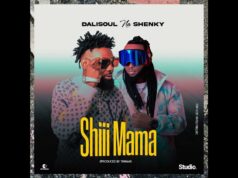 Shenky Ft Daliso – Shimama