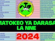 NECTA: Matokeo ya Darasa la Nne 2024/2025