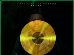 Belle 9 Feat Jux,Maua Sama ,G Nako ,Mr Blue,Izzo B – BURGER MOVIE SELFIE REMIX