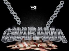 D Voice – Gharama D Voice - Gharama