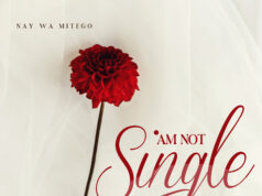 Nay Wa Mitego – Am Not Single Nay Wa Mitego - Am Not Single
