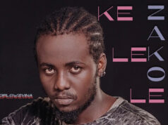 Dflowz Vina – Kelele Zako