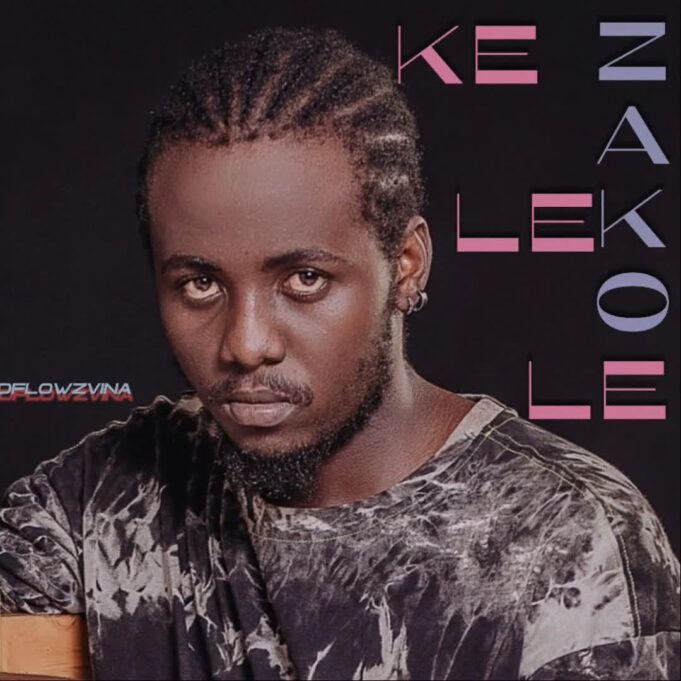 Dflowz Vina – Kelele Zako