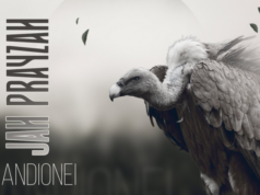 Jah Prayzah – Mandionei Jah Prayzah – Mandionei