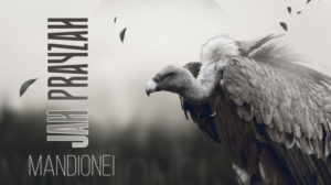 Jah Prayzah – Mandionei