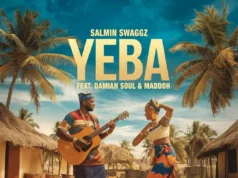 Salmin Swaggz Ft Damian Soul X Maddoh – YEBA