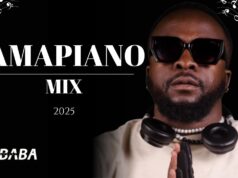 Dj Webaba – Amapiano Mix 2025