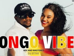 Best Bongo Love Songs Mix by Dj Stan Ft keki, Otile Brown, Diamond,Willy Paul Vol.6