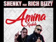 Shenky ft Rich Bizzy – Amina Kadala