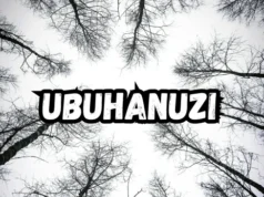Yee Fanta – Ubuhanuzi