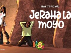 Spack Ft Z Anto – Jeraha la Moyo