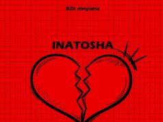 B2k Mnyama – Inatosha