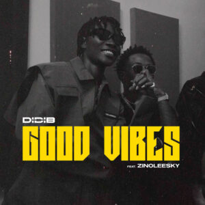 Didi B Ft Zinoleesky - Good Vibes