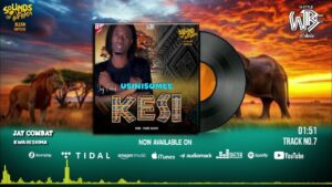 Jay Combat - Usinisomee Kesi