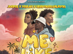 Joefes Ft Teslah & Unspoken Salaton – Me Like Joefes Ft Teslah & Unspoken Salaton - Me Like