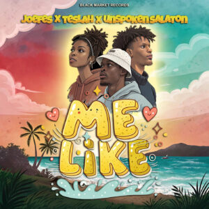 Joefes Ft Teslah & Unspoken Salaton - Me Like