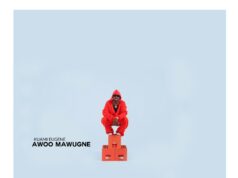Kuami Eugene – Awoo Mawugne Kuami Eugene - Awoo Mawugne