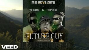 Mr Dove Zayn - Future Guy Remix Ft Yo Maps & Triple M