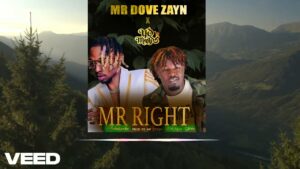 Mr Dove Zayn - Mr Right Ft Yo Maps
