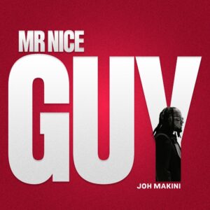 Joh Makini - Mr Nice Guy