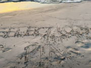 PIA POUNDS – SELECTION