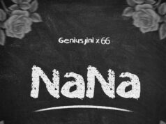 Geniusjini X66 – Nana Geniusjini X66 - Nana