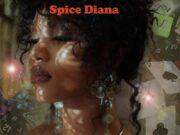 Spice Diana – Kagobako Spice Diana - Kagobako