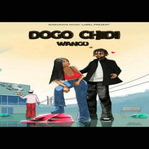Dogo Chidy - Wangu
