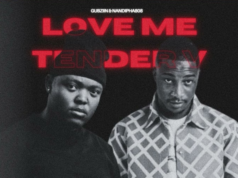 Gubziin Ft Nandipha808 – Love Me Tender