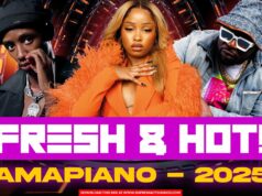 Amapiano Vibes 2025 (Vol.2) -Ngibolekeni,Uyaphapha Marn,Baphi & More