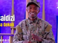 Koppa Gekon – Msaidizi