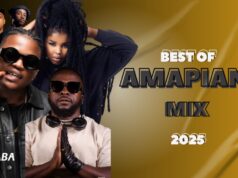 Best of Amapiano Mix 2025 By Dj Webaba