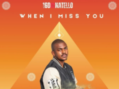 16 Donatello – When I miss You