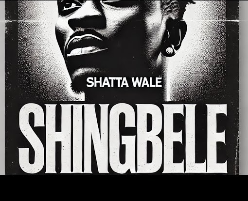 Shatta Wale - Shingbele