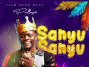 Pallaso – Sanyu Sanyu