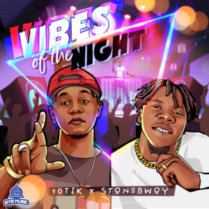 10Tik Ft. Stonebwoy & Ch3zy - Vibes Of The Night